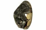 6.2" Free-Standing, Polished Septarian Geode - Black Crystals - #156613-2